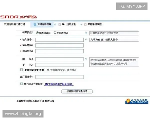 凯时KS国际官网入口如何确保账号安全，提供完整登录流程指南